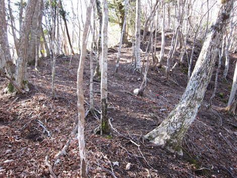 20200110hike (35)